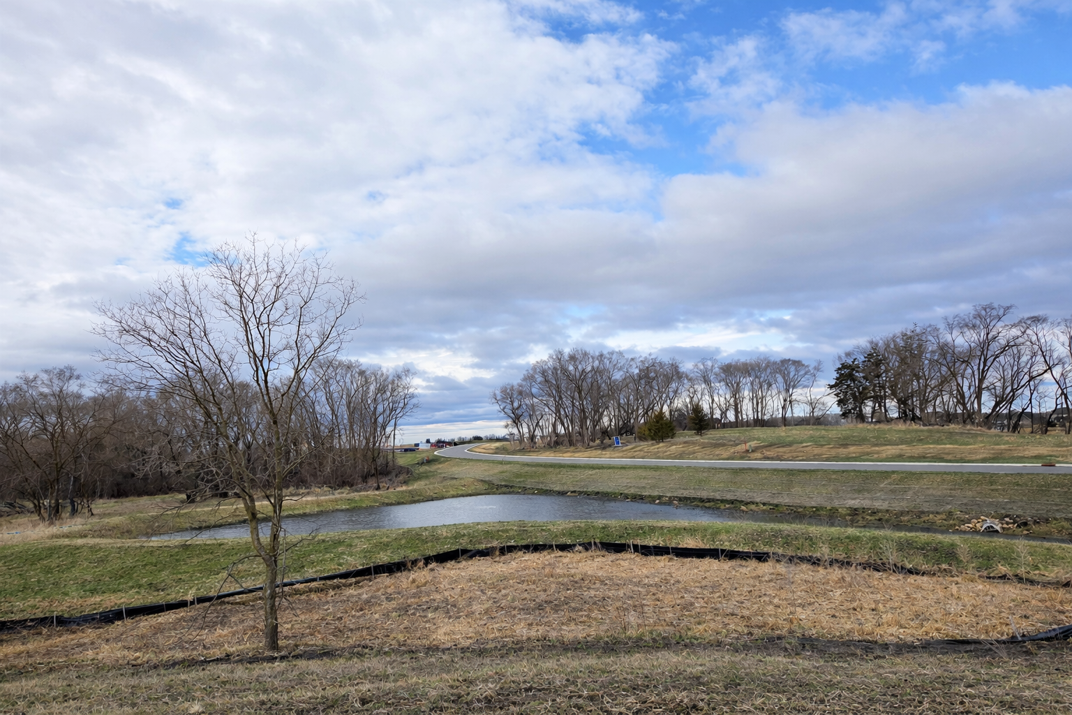 Rural pond with winding road.png