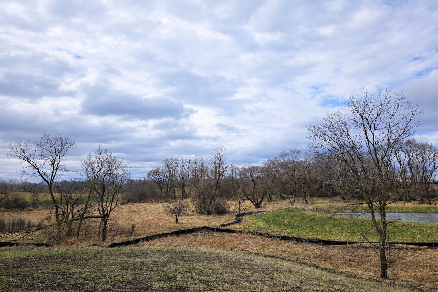 Rural landscape with pond.png