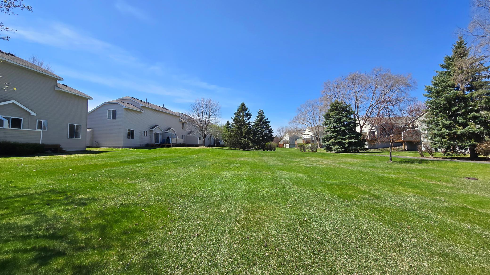 Large Backyard Space