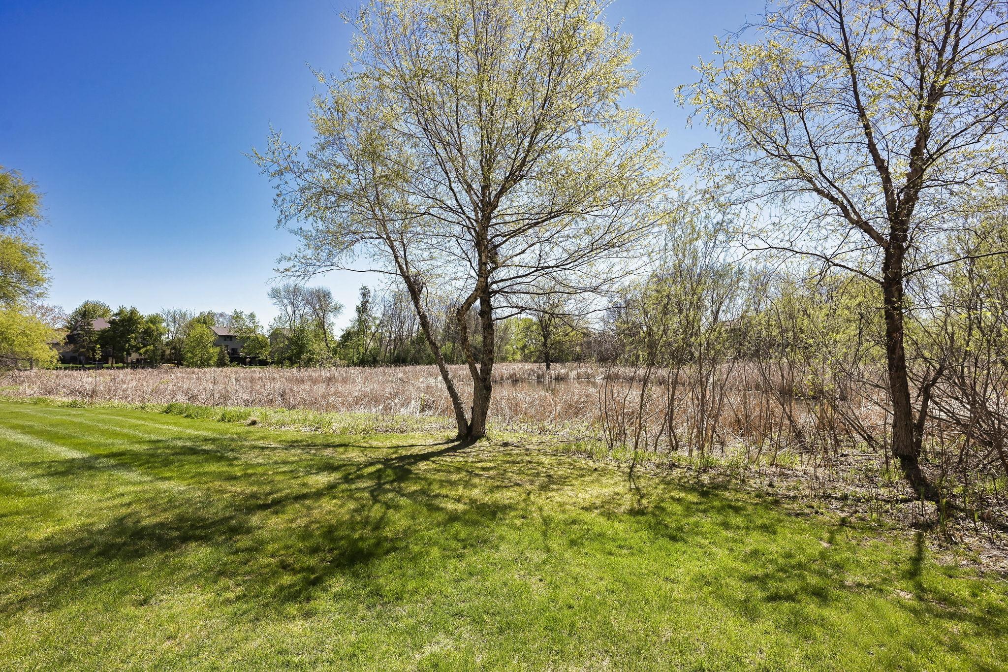 56-web-or-mls-8960 Comstock Ln N54.jpeg