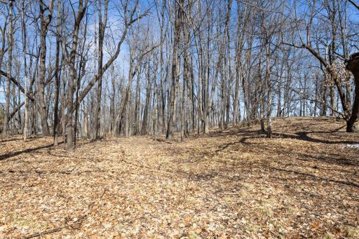 Property boasts 1.02 acres of natually wooded areas providing both privacy and beauty