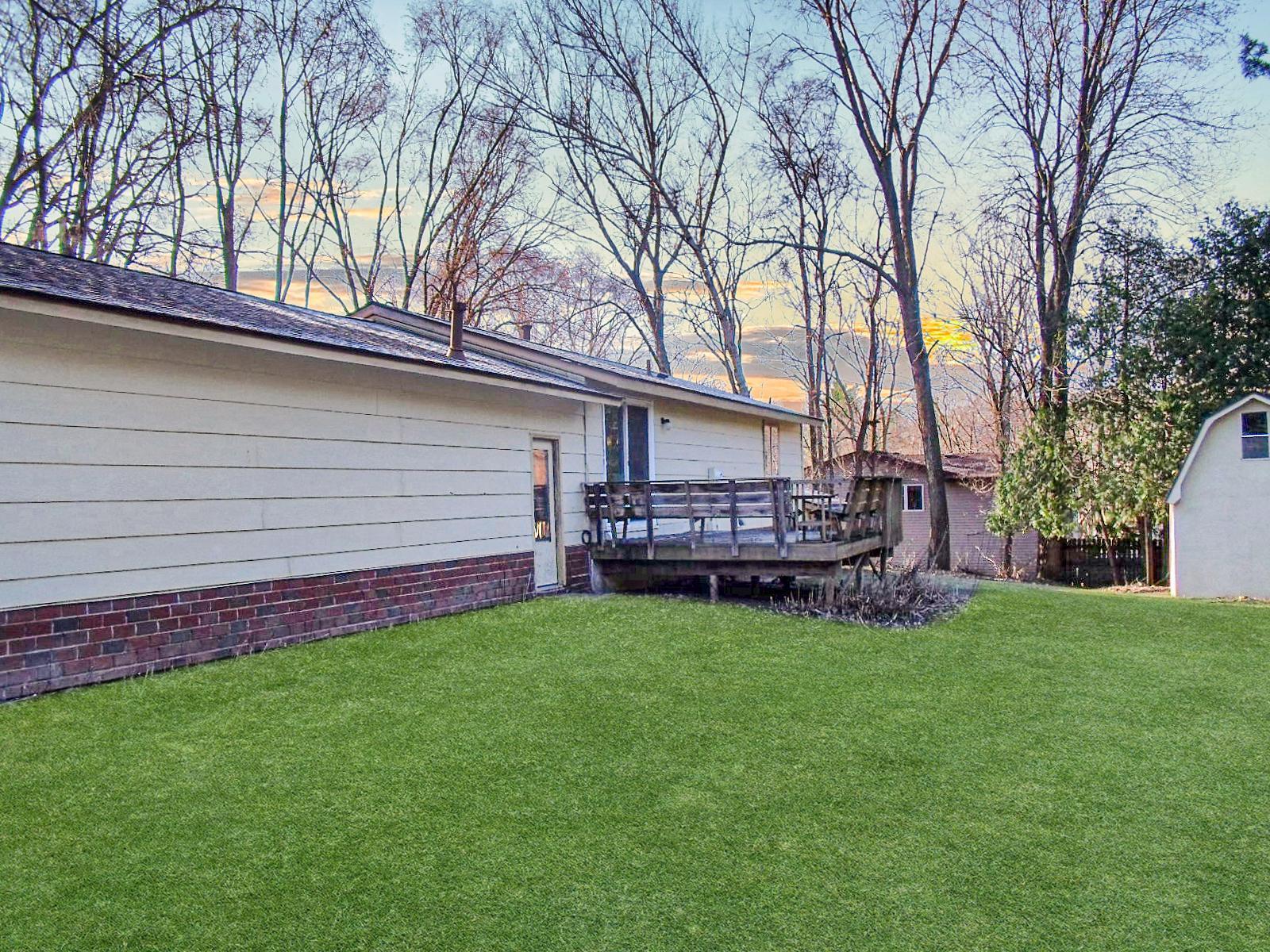 Back modified picture