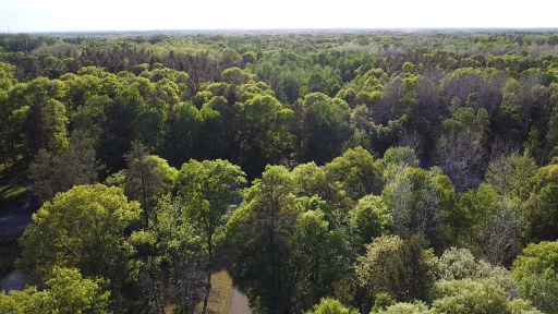 10308 S Oaks Road, Brainerd, MN 56401