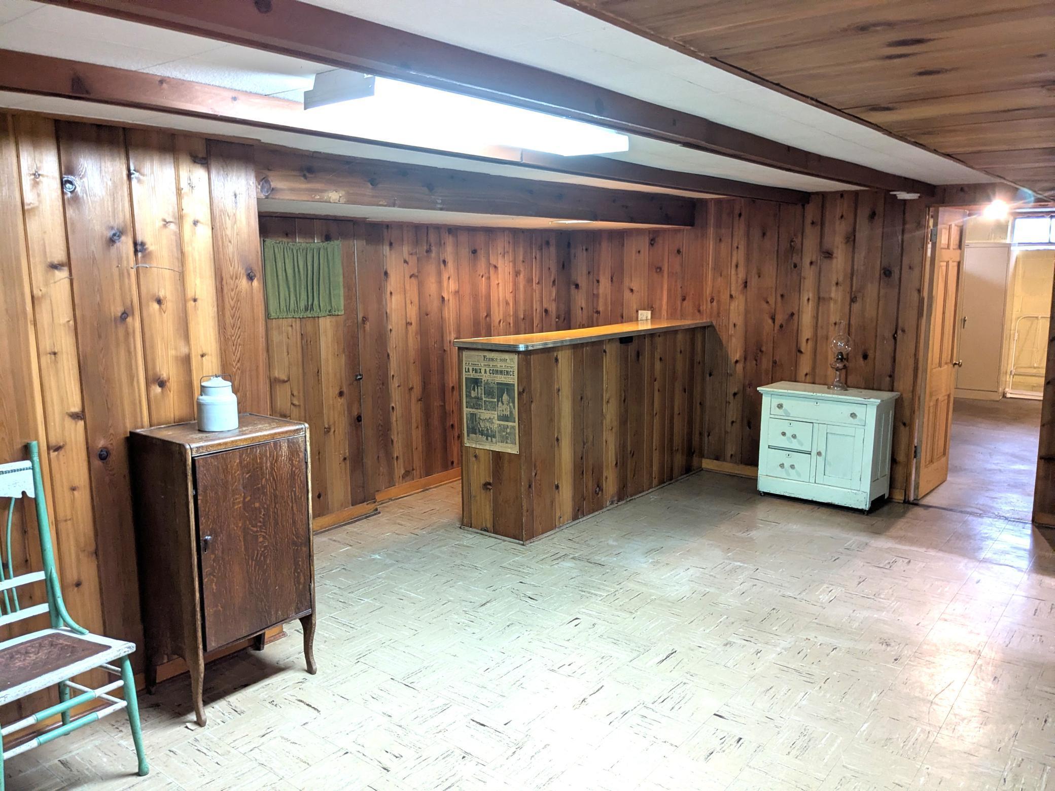 Basement Entertaining.jpg