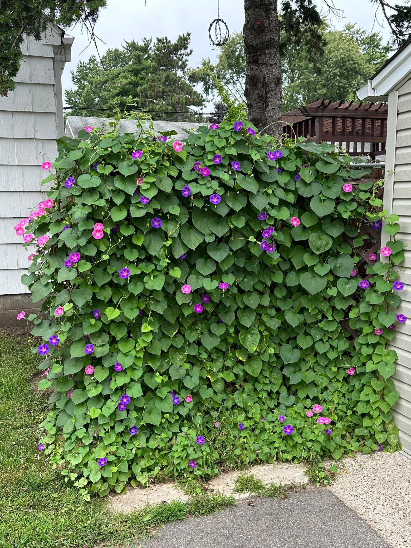Photo 35