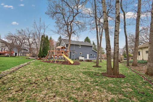 Playset and mature trees