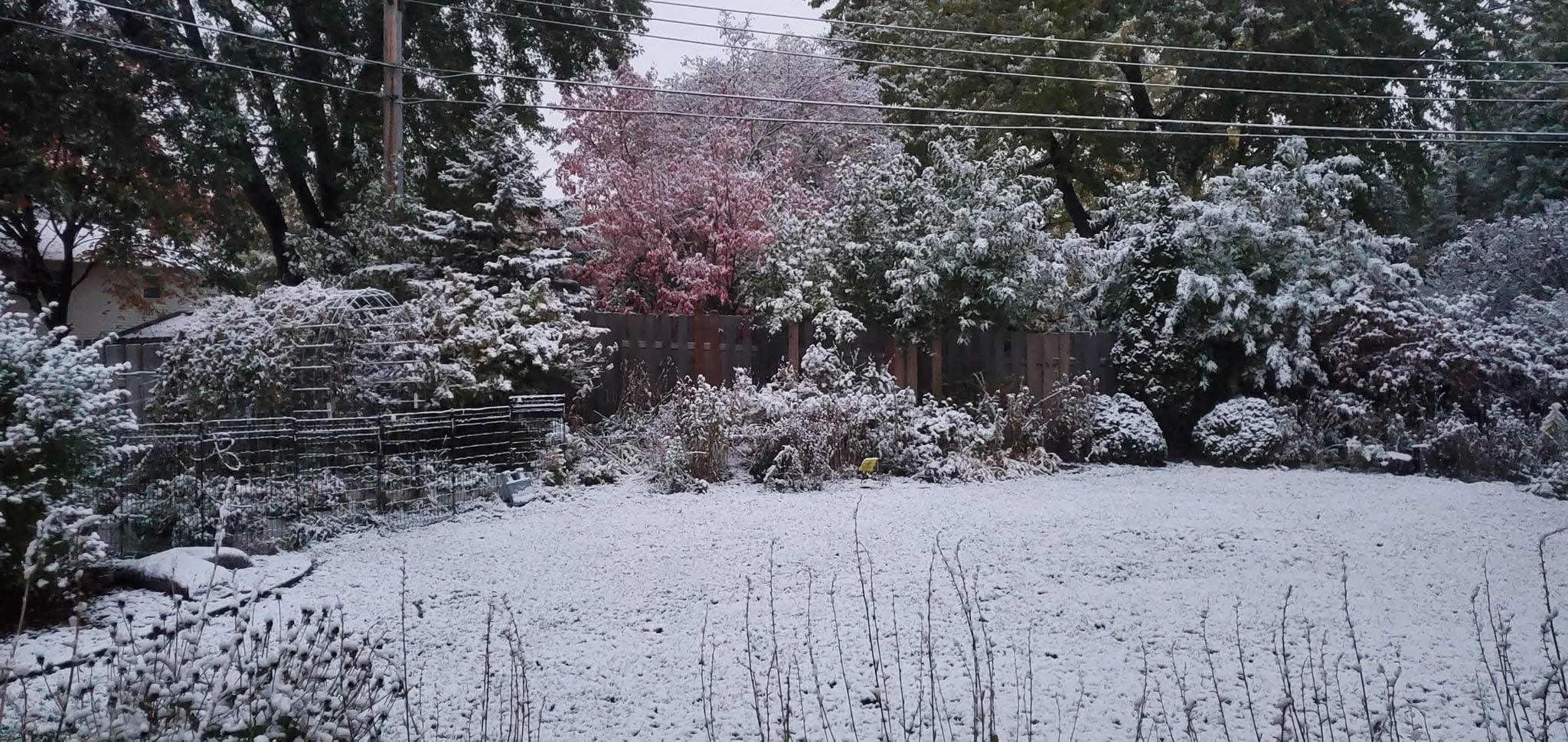 Winter