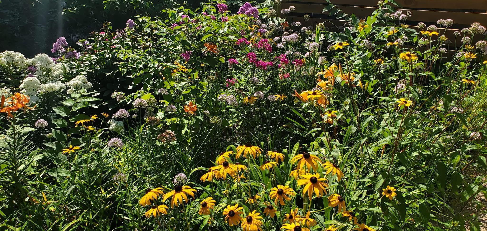 Perennial garden