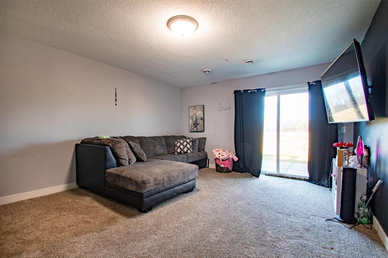 Lower Level Family Room With Walkout To The Patio