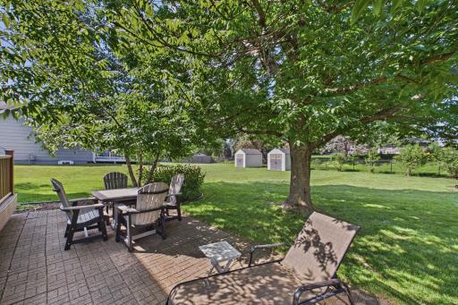 Patio to backyard has tremendous tree coverage and shade