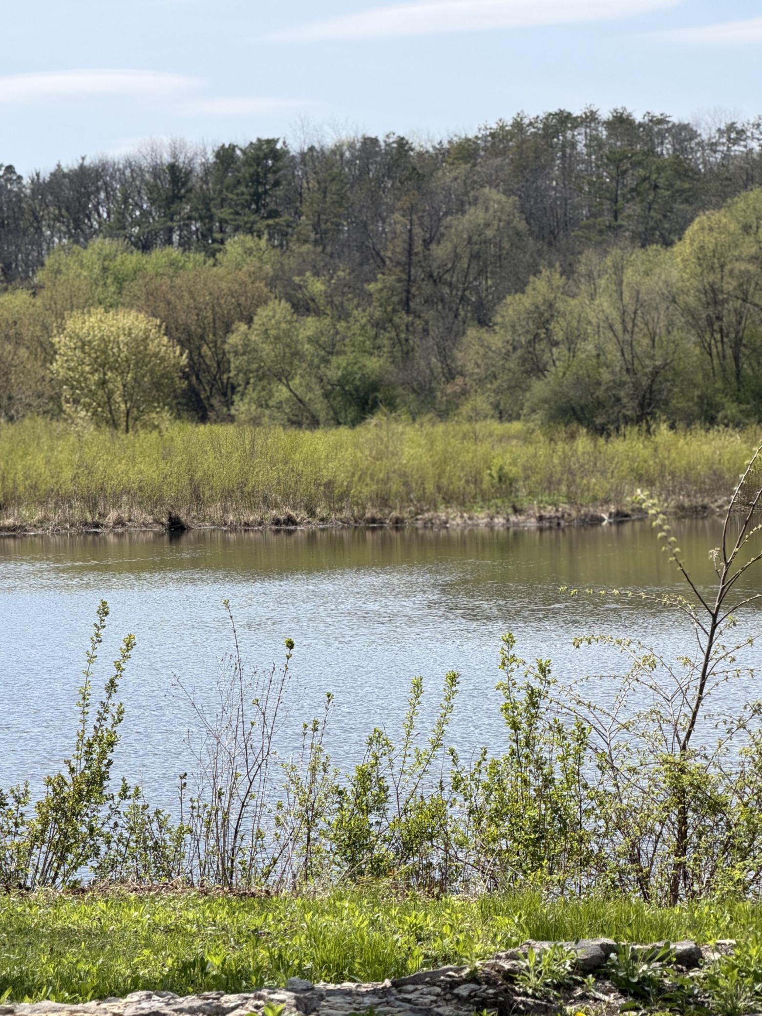 Ride or Walk on bike path to Bamber Lake