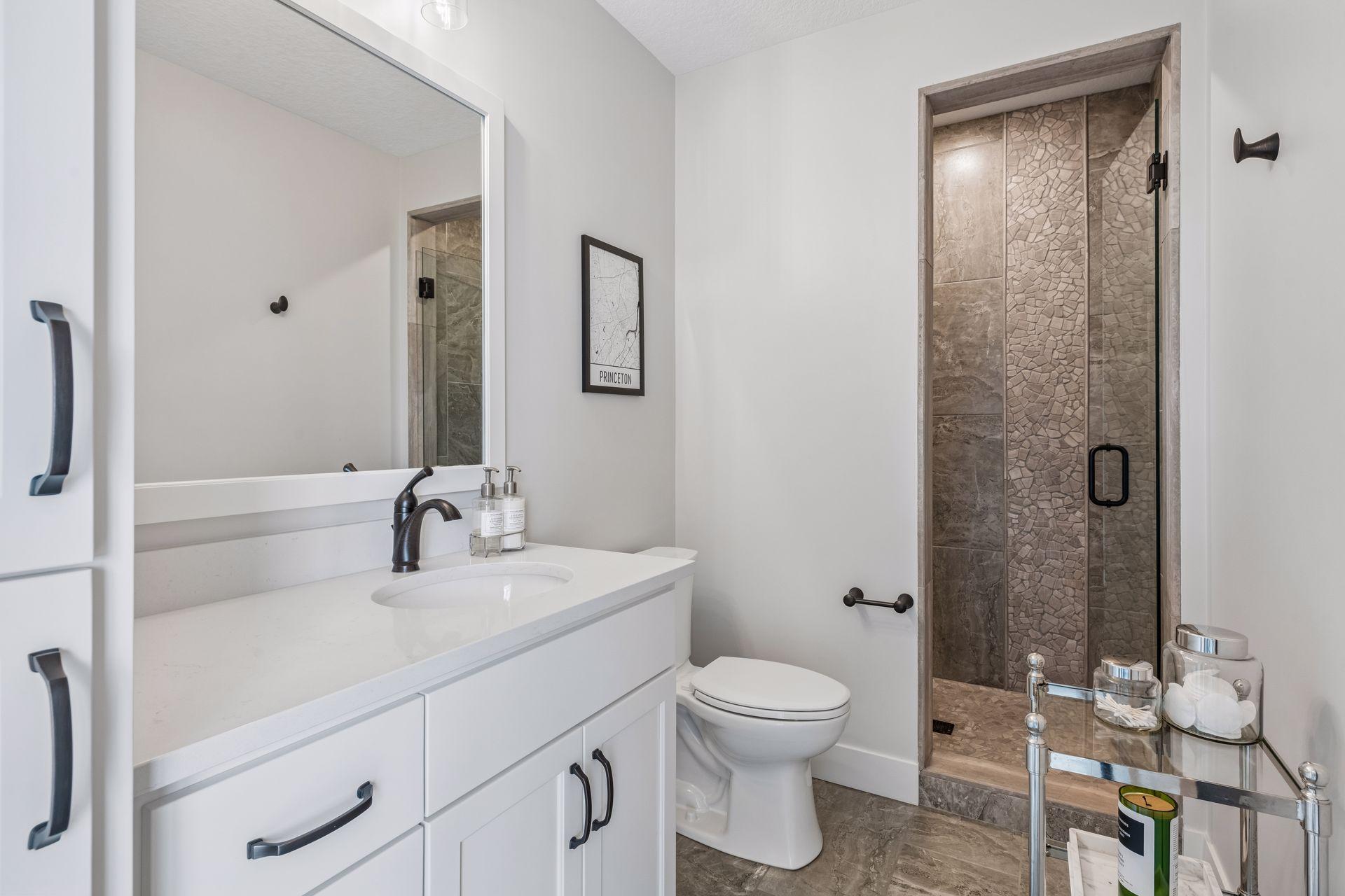 Lower level bathroom with stone shower