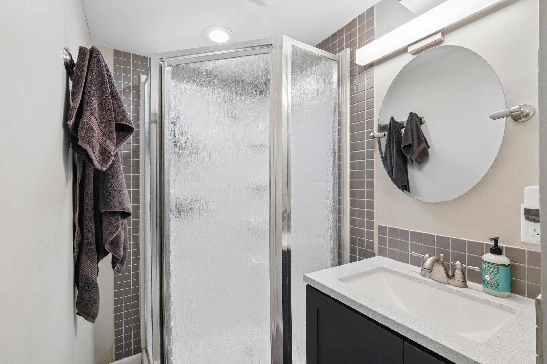 Lower level bathroom