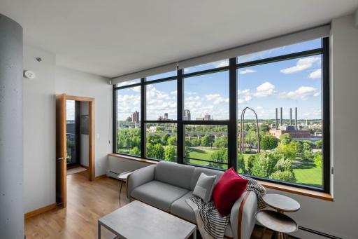 215 10th Avenue S, 910, Minneapolis, MN 55415