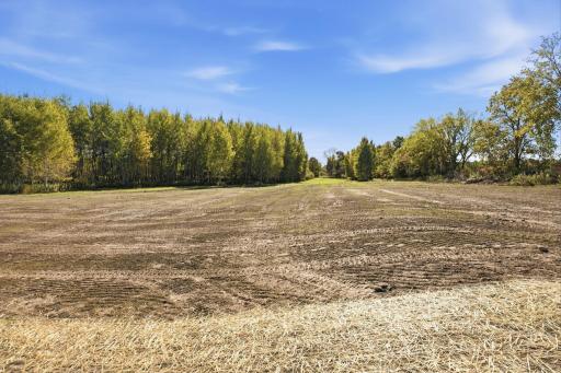 1255 130th Avenue, Ogilvie, MN 56358