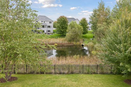 Serene pond view in back yard