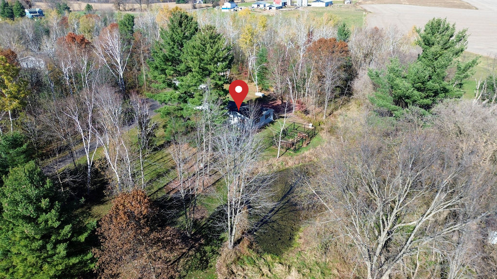 Untitled design (1).png