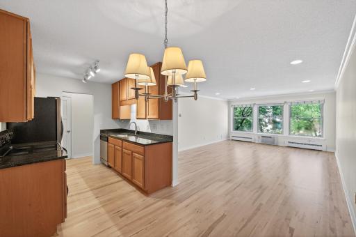 821 Douglas Avenue, 204, Minneapolis, MN 55403