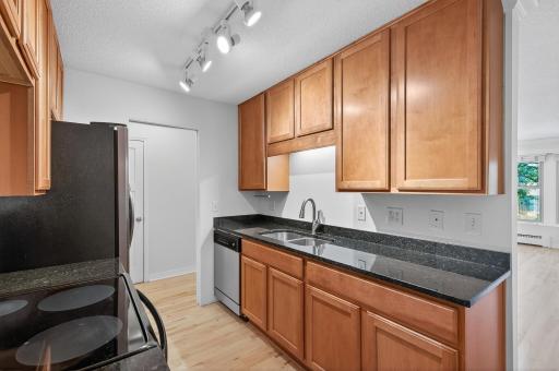 821 Douglas Avenue, 204, Minneapolis, MN 55403