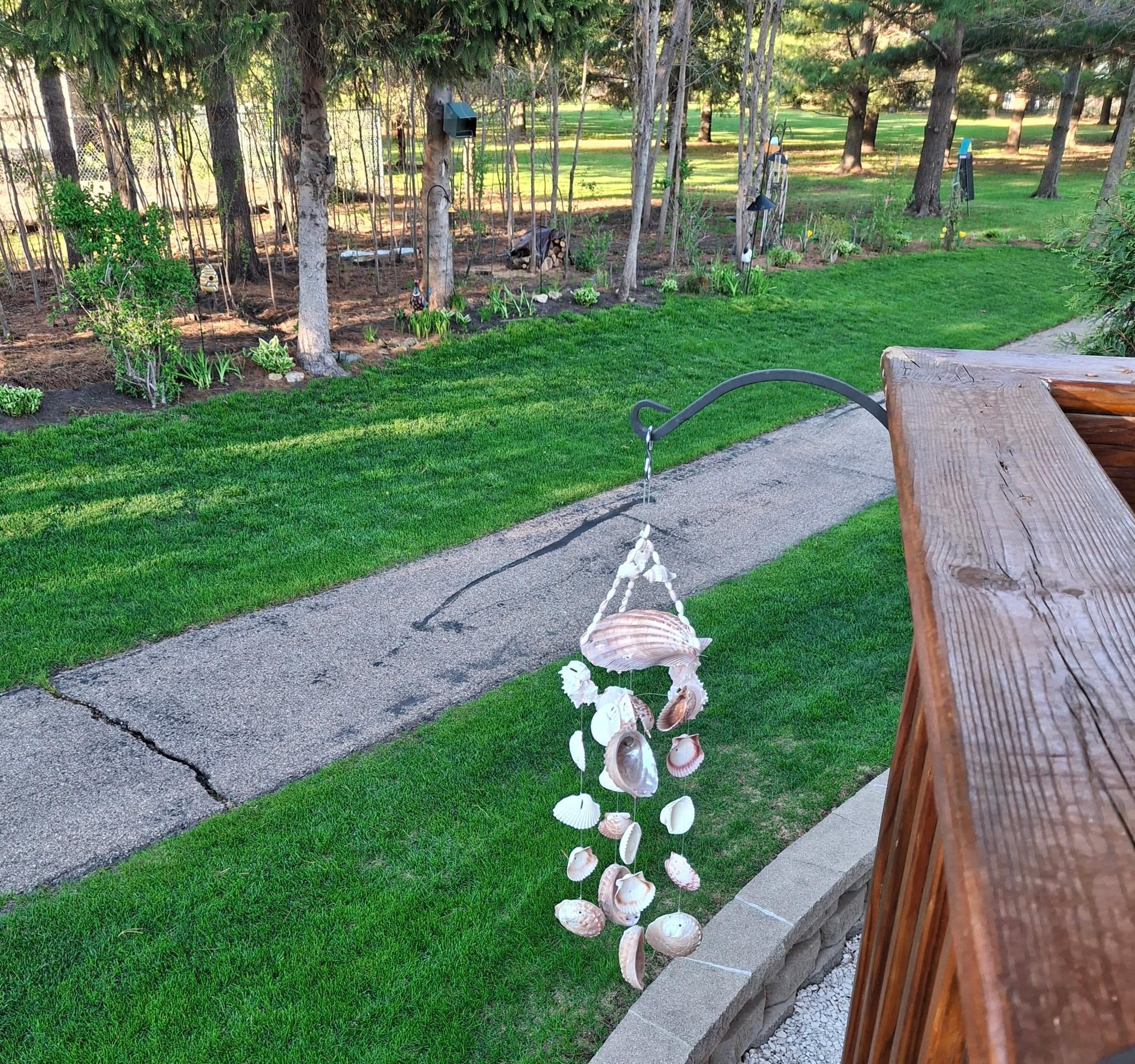 Deck & walking path
