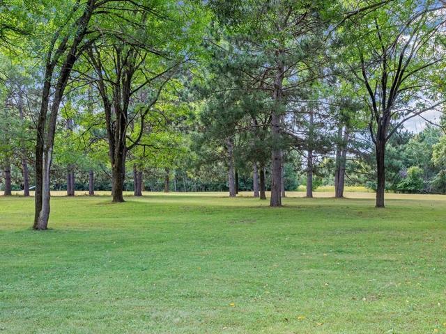3.75 lightly wooded acres surrounded by mature trees