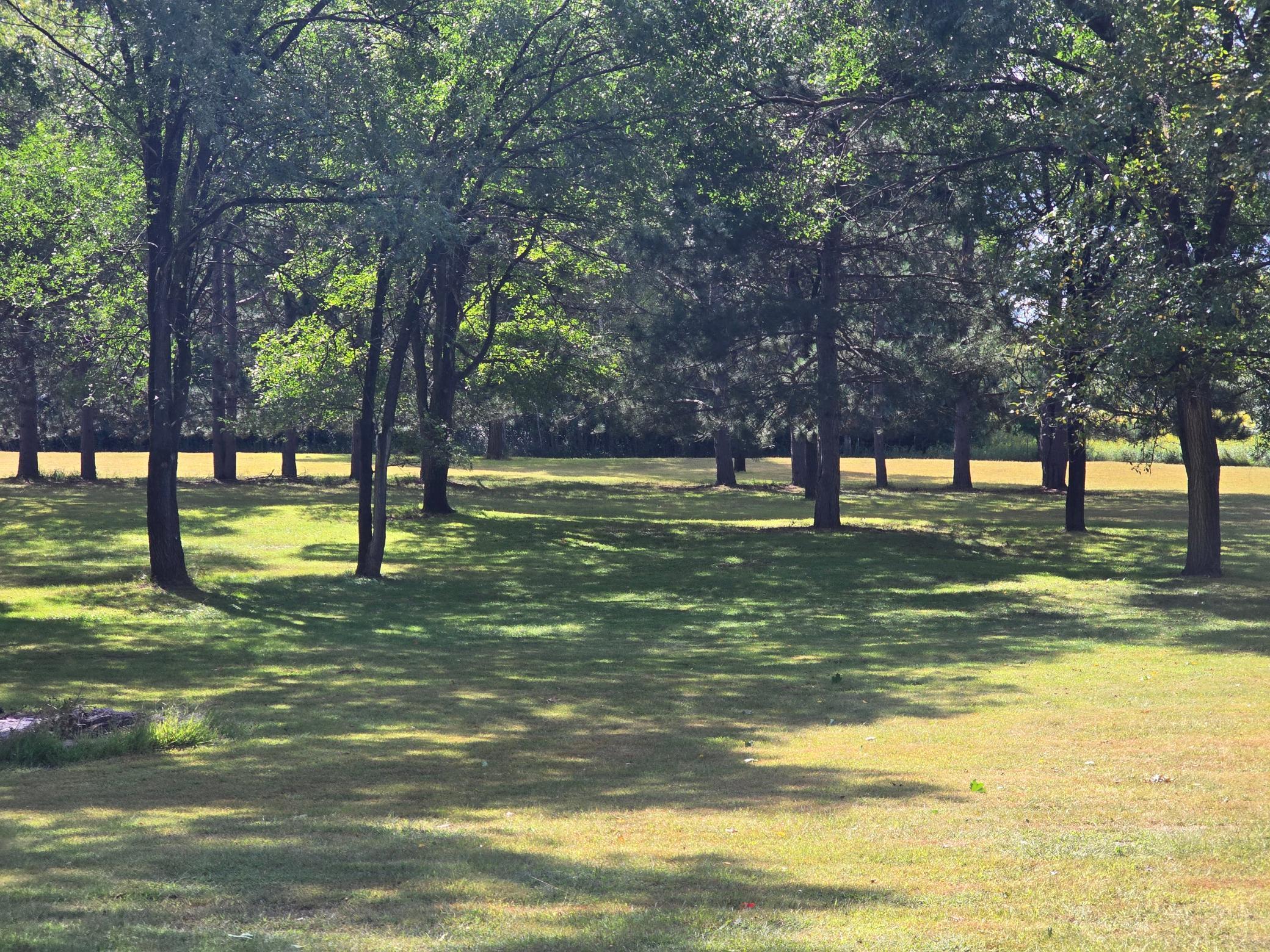 •	Enjoy deer, owls, and other wildlife right in your yard.