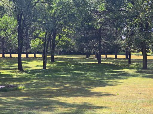 •	Enjoy deer, owls, and other wildlife right in your yard.