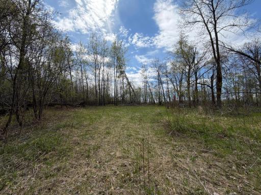 51265 Vagabond Loop, Bemidji, MN 56601