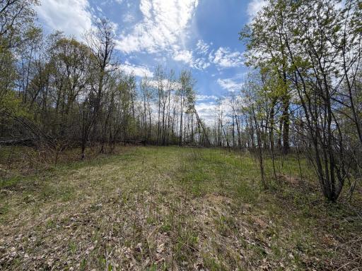 51265 Vagabond Loop, Bemidji, MN 56601