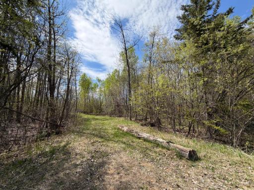 51265 Vagabond Loop, Bemidji, MN 56601