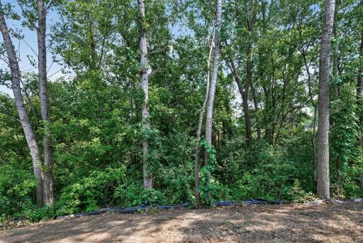 Relax in complete privacy with a picturesque wooded backdrop that's perfect in every season.