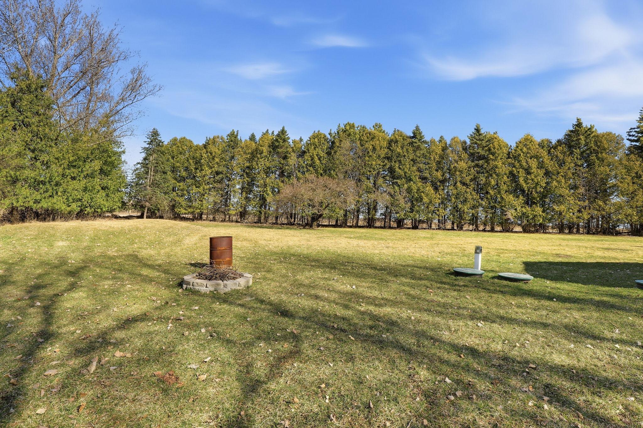 Nice privacy rows of arborvitae and pines.