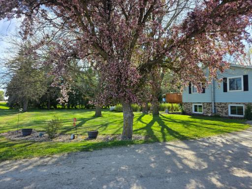 Beautiful landscaping throughout this property.