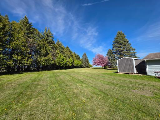 Gorgeous large yard for all you outdoor gardening or recreational needs.