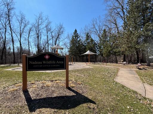 The neighborhood gem - Nadeau Wildlife Area and park