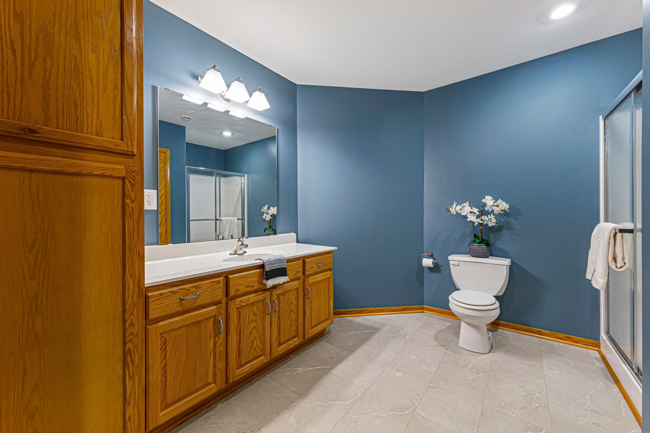 Lower Level Bathroom.