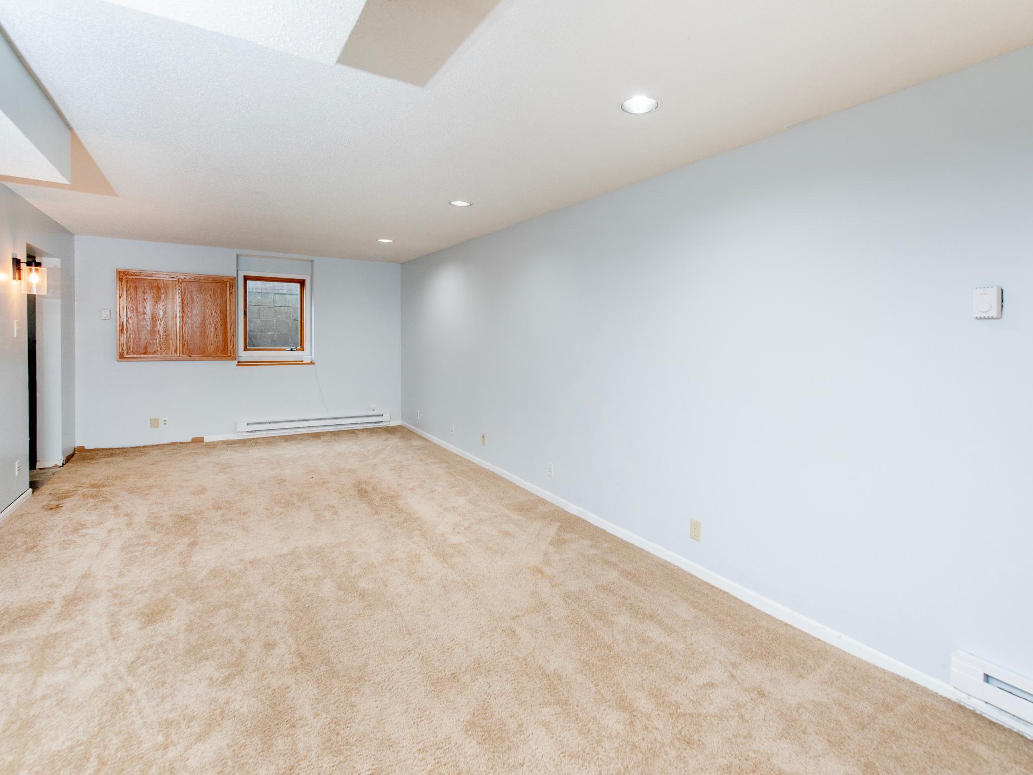 Lower Level Family Room