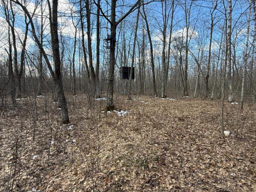 41273 Swede Alley, Hinckley, MN 55037