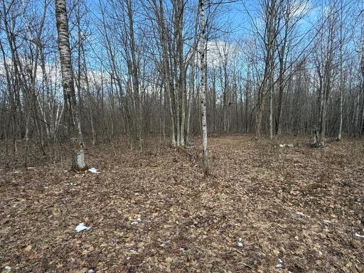 41273 Swede Alley, Hinckley, MN 55037