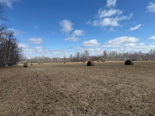 41273 Swede Alley, Hinckley, MN 55037