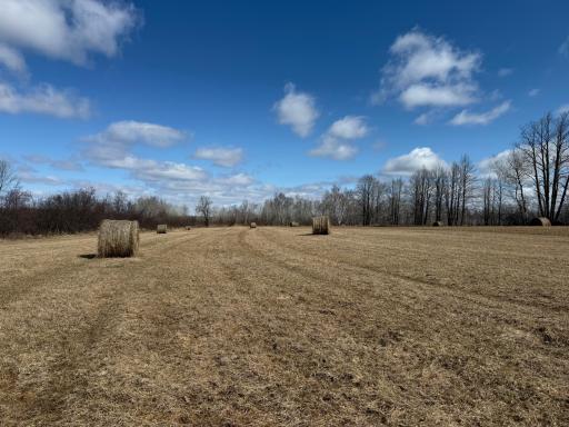 41273 Swede Alley, Hinckley, MN 55037