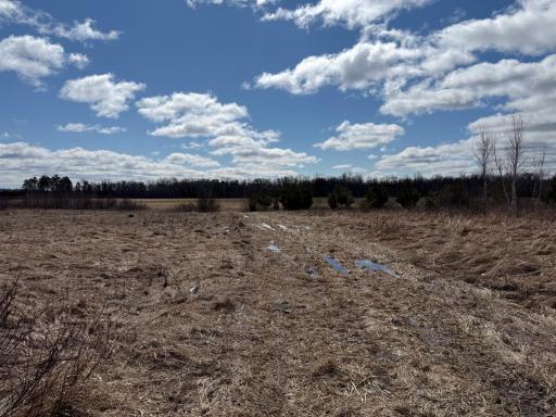 41273 Swede Alley, Hinckley, MN 55037