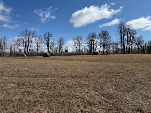 41273 Swede Alley, Hinckley, MN 55037