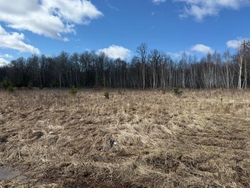 41273 Swede Alley, Hinckley, MN 55037