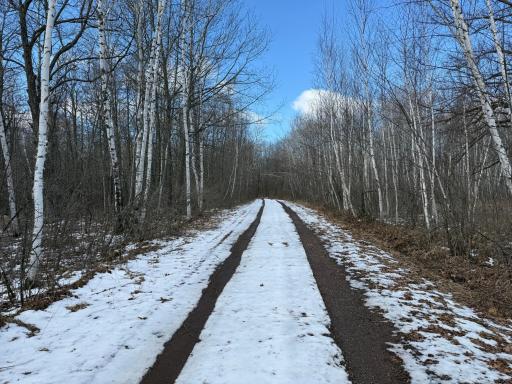 41273 Swede Alley, Hinckley, MN 55037