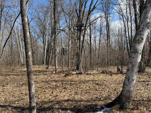 41273 Swede Alley, Hinckley, MN 55037