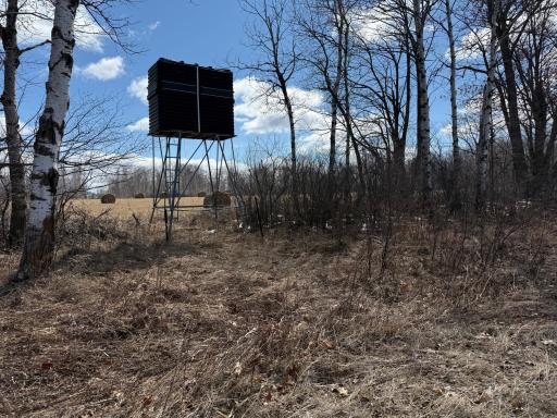 41273 Swede Alley, Hinckley, MN 55037