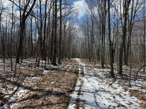41273 Swede Alley, Hinckley, MN 55037