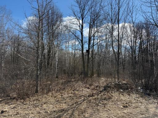 41273 Swede Alley, Hinckley, MN 55037