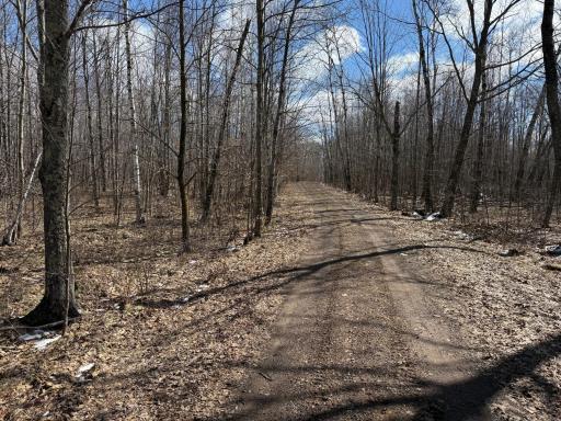41273 Swede Alley, Hinckley, MN 55037